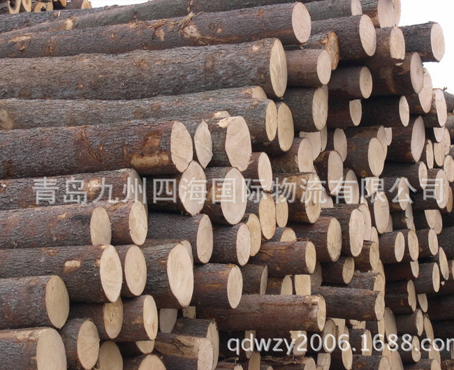 青岛港木材进口、海运代理、货运公司